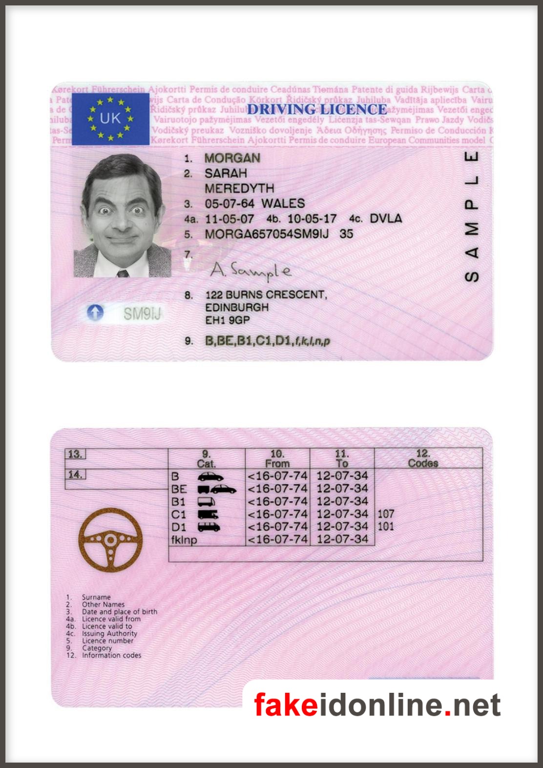 Britain Driver License 2015 Fully Editable CDR Vector Template